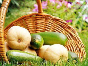 立足田間地頭，胸懷星辰大海 農產品電商創業者的心態修煉與收購之道