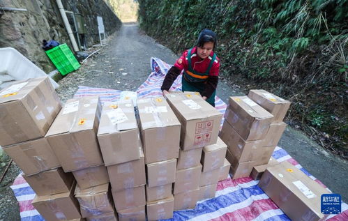 浙江淳安 傳統農產品走俏年貨市場，山珍好味帶動農副產品銷售熱潮