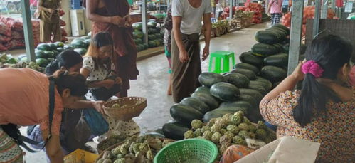 緬甸糧食安全拉響警報 基礎(chǔ)食品價格飆升，初級農(nóng)產(chǎn)品收購體系面臨挑戰(zhàn)