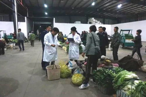 麗水藍城檢測助力松陽縣筑牢農(nóng)產(chǎn)品源頭安全防線