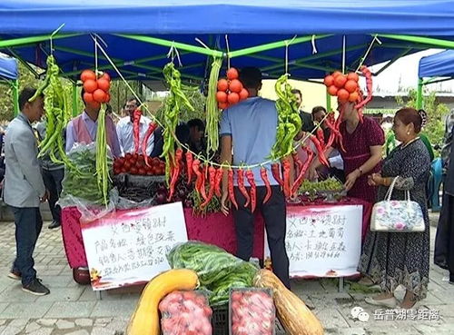 農(nóng)副產(chǎn)品促銷會 激發(fā)市場活力，助力脫貧攻堅與初級農(nóng)產(chǎn)品收購